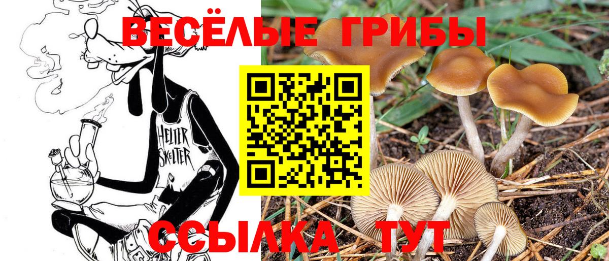 Псилоцибиновые грибы Magic Shrooms  Вход с VPN  даркнет сайт  Феодосия 
